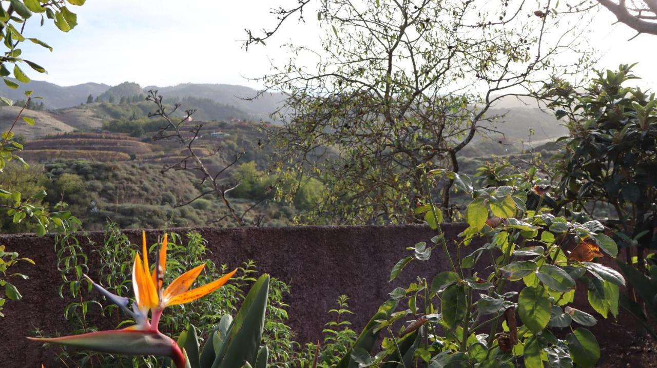 Casa Rural En San Mateo 라스팔마스 외부 사진