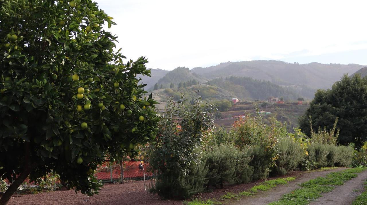 Casa Rural En San Mateo 라스팔마스 외부 사진