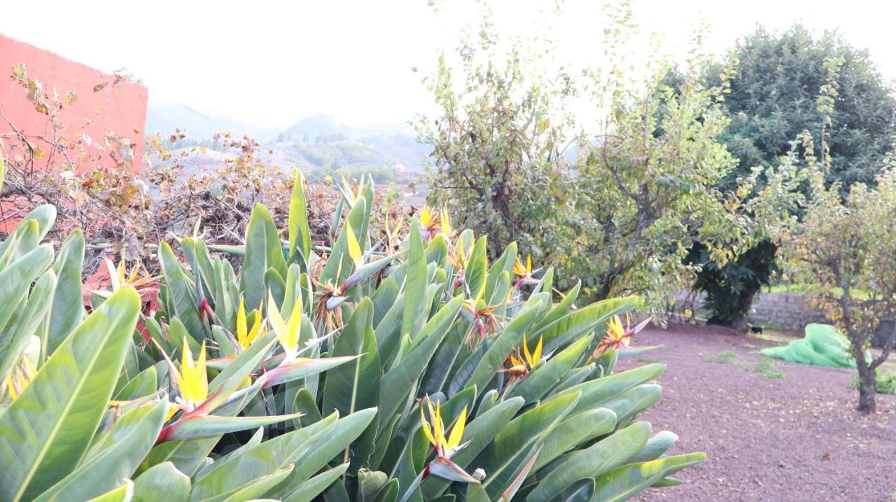 Casa Rural En San Mateo 라스팔마스 외부 사진