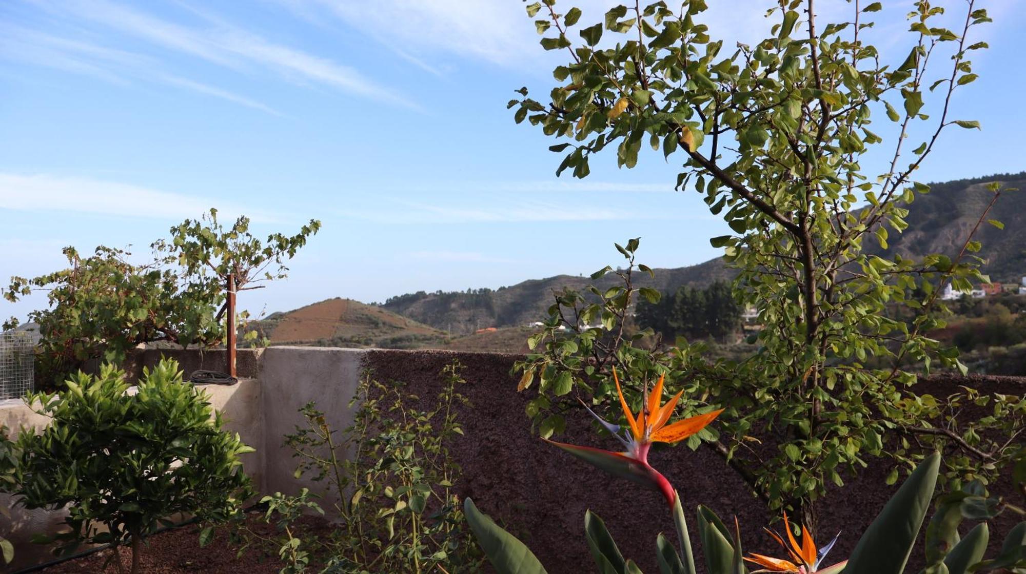 Casa Rural En San Mateo 라스팔마스 외부 사진