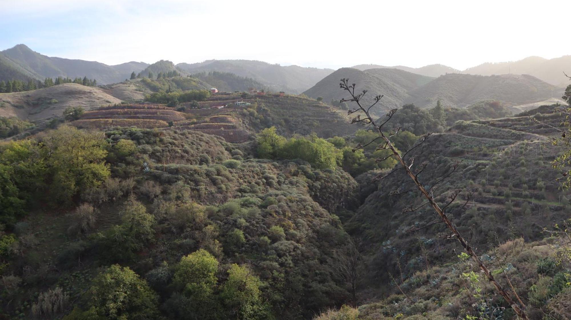 Casa Rural En San Mateo 라스팔마스 외부 사진