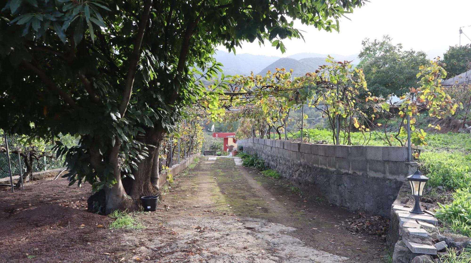 Casa Rural En San Mateo 라스팔마스 외부 사진