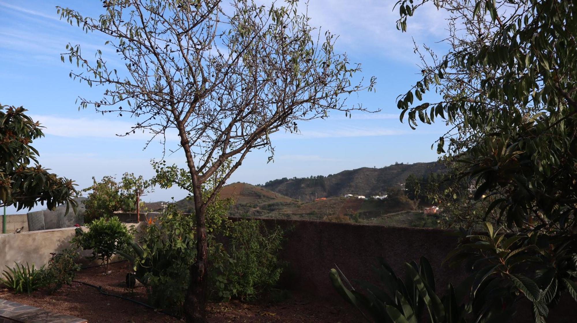 Casa Rural En San Mateo 라스팔마스 외부 사진